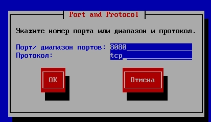 На третьем шаге представлен список сетевых интерфейсов на серверной платформе. Отмечаем только те пункты, для которых необходимо предоставить полный доступ во внешнюю сеть: