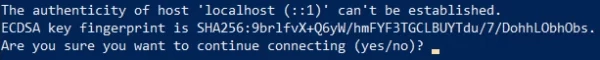 Ответив на него yes, хост подключения будет добавлен в список известных хостов сервера. После чего необходимо ввести пароль пользователя (по соображениям безопасности вводимые символы отображаться не будут). После успешного подключения отобразится интерфейс используемой командной строки: