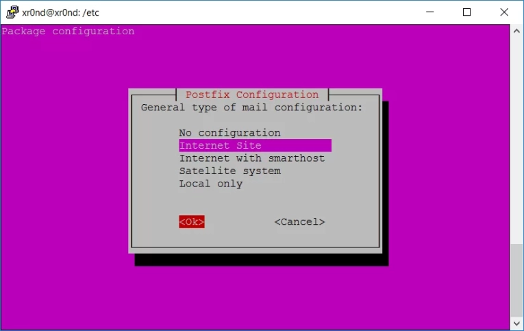 В новом окне, в поле System mail name, нужно указать доменное или локальное имя сервера и нажать Enter на клавиатуре: